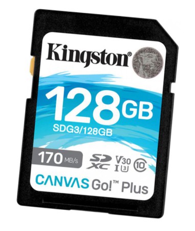 kingston 128gb canvas go